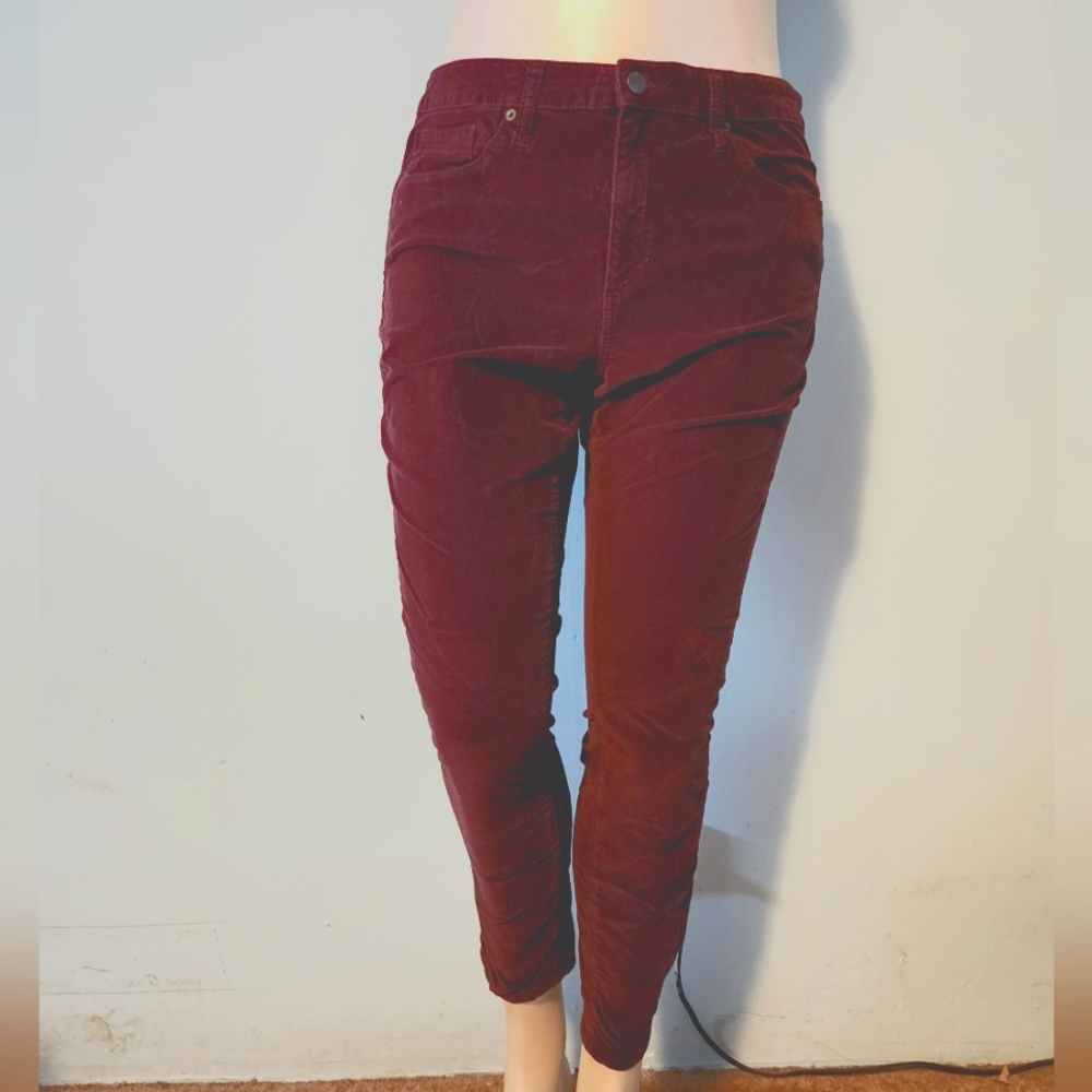 Brushed velvet style pants